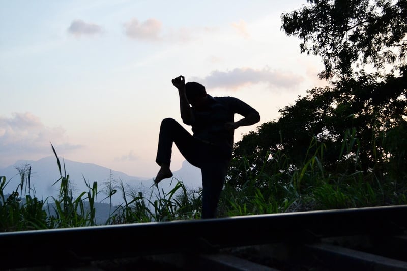 Kung Fu Practice
